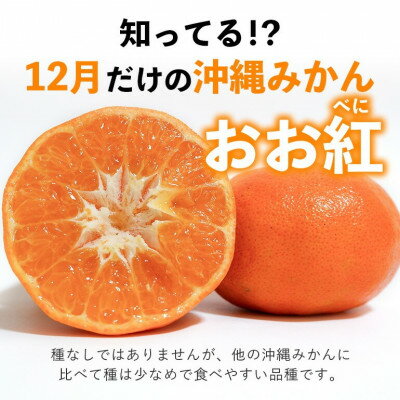 沖縄県国頭村の画像2