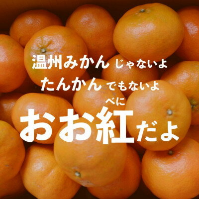 沖縄県国頭村の画像3