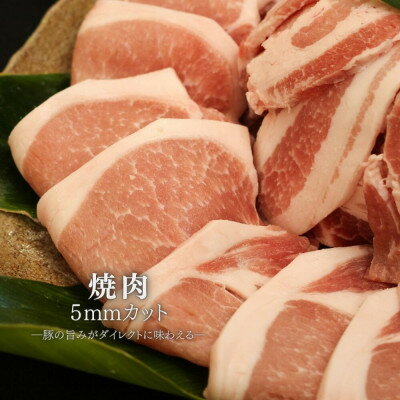 沖縄県国頭村の画像3