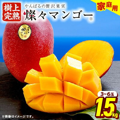 楽天市場】沖縄 マンゴー（総重量（果物）1.00 ～ 1.99kg）（食品）の通販