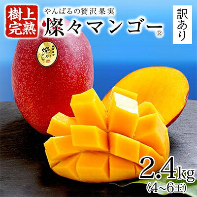 楽天市場】5kg（マンゴー｜フルーツ・果物）：食品の通販