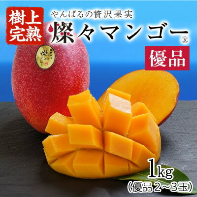 【ふるさと納税】【2025年発送・優品】燦々マンゴー1.0kg(2~3玉)【配送不可地域:離島】【1619776】