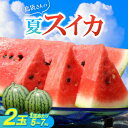 【ふるさと納税】【先行予約・2026年8月中旬から順次発送】島袋さんの夏スイカ大玉 2玉(1玉5.0~7.0kg)【配送不可地域:離島】【1628650】