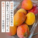 沖縄県国頭村の画像3