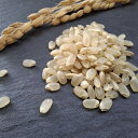【ふるさと納税】【農家直送】国頭村 キジムナー米 玄米2kg(未検査米)【1636996】