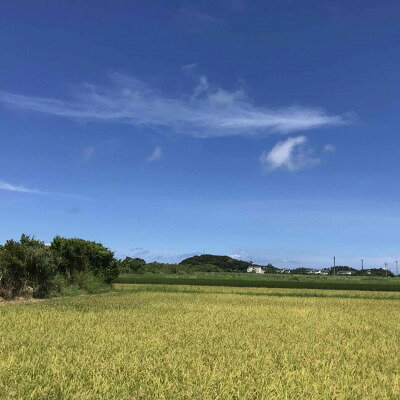 【ふるさと納税】【令和8年産新米・栽培期間中農薬不使用】沖縄の農家直送 ひとめぼれ 玄米 2kg【1636996】