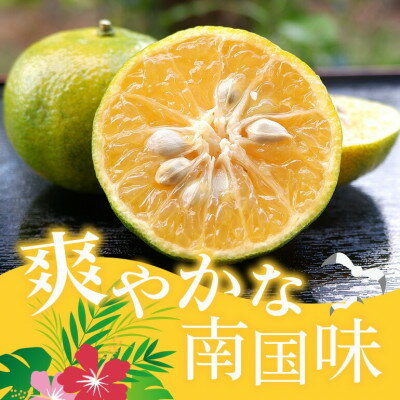 沖縄県国頭村の画像2