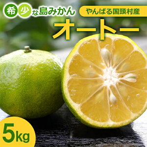 【ふるさと納税】【2025年10月から順次発送】やんばる国頭村産 希少な島みかん「オートー」5kg【1662092】