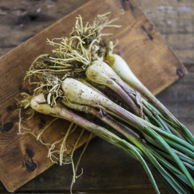 沖縄県国頭村の画像2