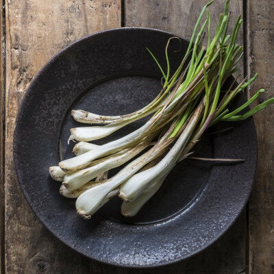 沖縄県国頭村の画像3