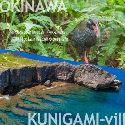 沖縄県国頭村の画像2