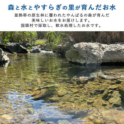 【ふるさと納税】国頭村のおいしい水 やんばるの森と海 2000ml×6本【1732491】