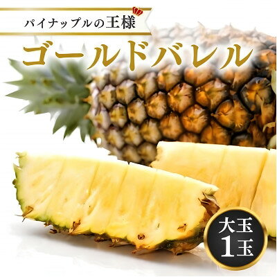 パイナップルの王様 ゴールドバレル1玉