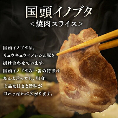 【ふるさと納税】【ビール特産品セット】オリオン ザ・ドラフト12本&旨み凝縮!国頭イノブタ【複数個口で配送】【配送不可地域：離島】【4014724】