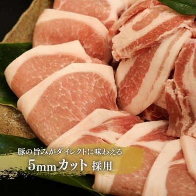 沖縄県国頭村の画像2