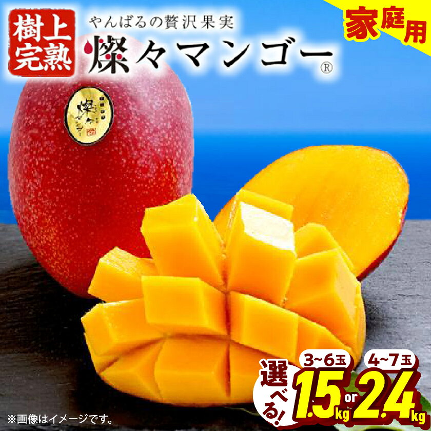 燦々マンゴー 1.5kg(3〜6玉)〜_ アップルマンゴー アーウィンマンゴー 沖縄 家庭用 規格外 贈答用 ギフト 果物 完熟 南国 フルーツ 期間限定 数量限定 沖縄県産 農家直送 訳あり[G1619685]