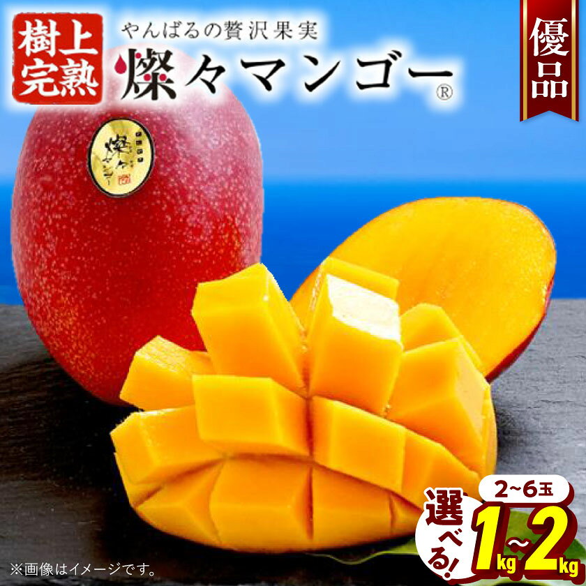 �ڤդ뤵��Ǽ�ǡۡ�2026ǯ7���缡ȯ����ͥ�ʡۻ����ޥ󥴡�1.0kg(2��3��))_���åץ�ޥ󥴡� ����������ޥ󥴡� ���� ������ ���ʳ� £���� ��...