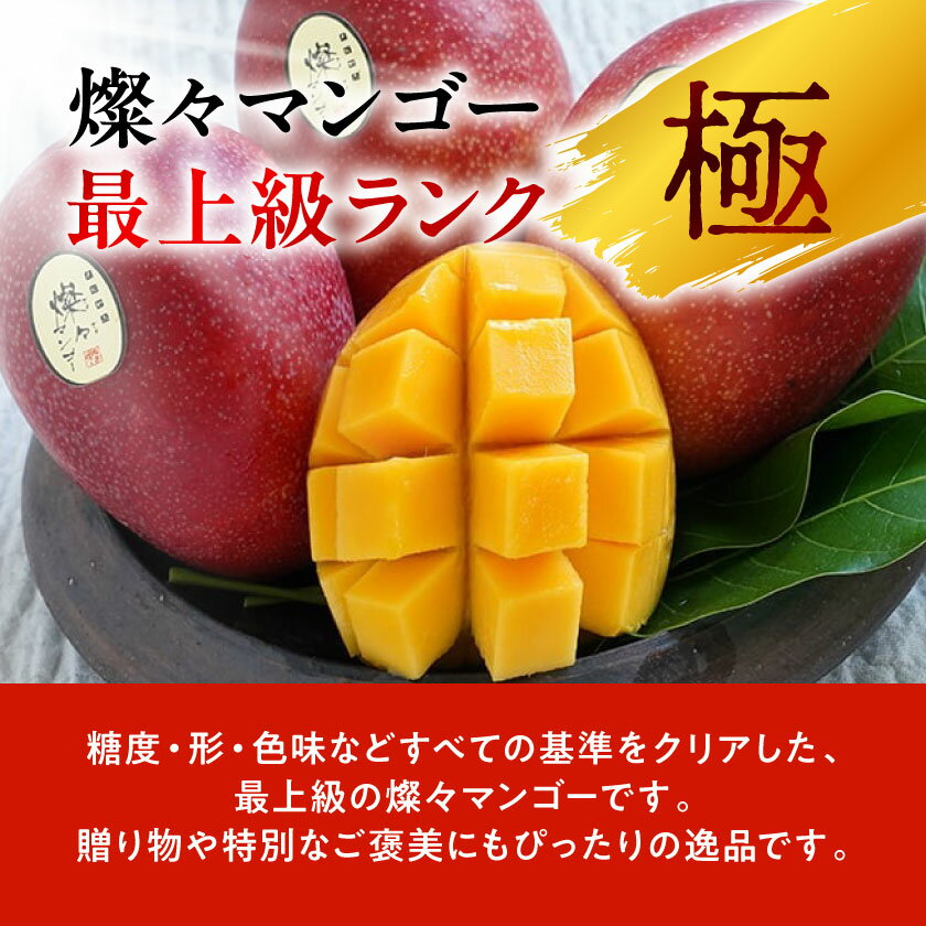 【ふるさと納税】【2026年7月から順次発送・最高級ランク極】燦々マンゴー 900g(2玉)/1.8kg(4玉)_アップルマンゴー アーウィンマンゴー 沖縄 家庭用 規格外 贈答用 ギフト 果物 完熟 南国 フルーツ 期間限定 数量限定 沖縄県産 農家直送【配送不可地域：離島】【G1622441】