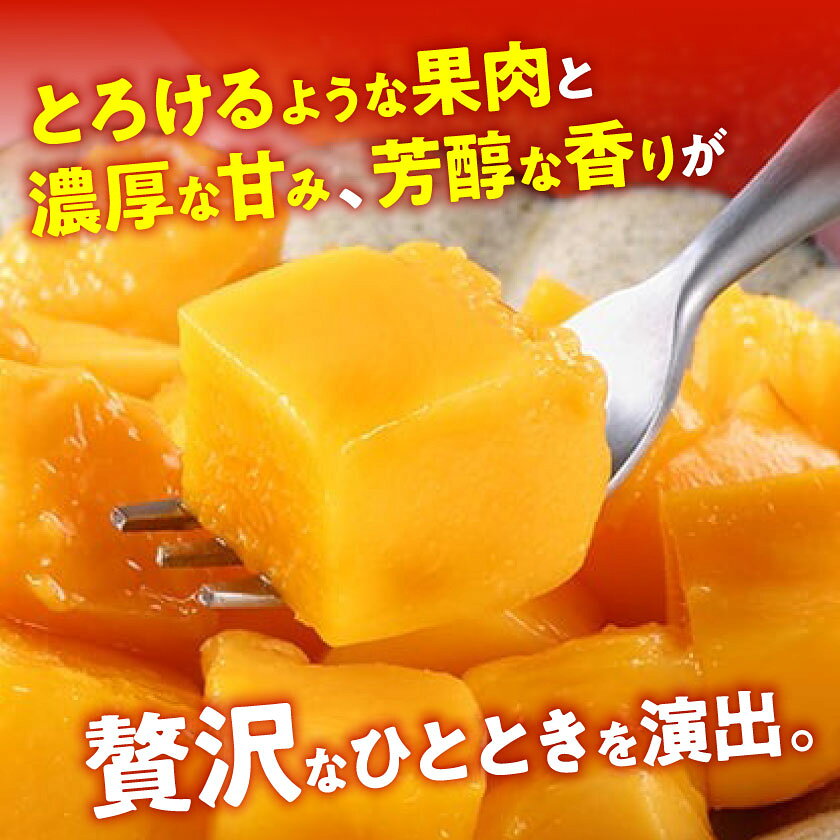 沖縄県国頭村の画像3