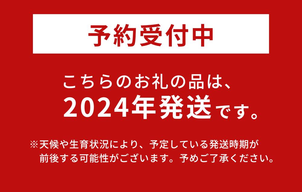 【ふるさと納税】【先行予約/数量限定】沖縄2大フルーツ！マンゴー＆パイン便【7月-8月発送】