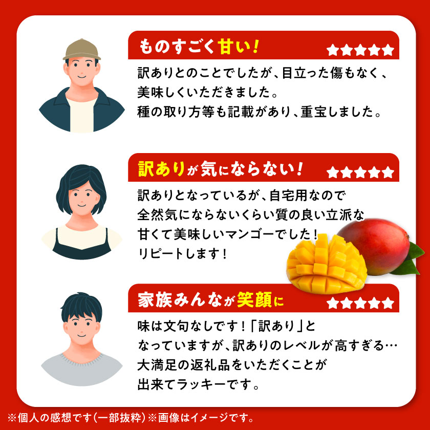 【2027年発送】燦々マンゴー 1.5kg/2.4kgの写真