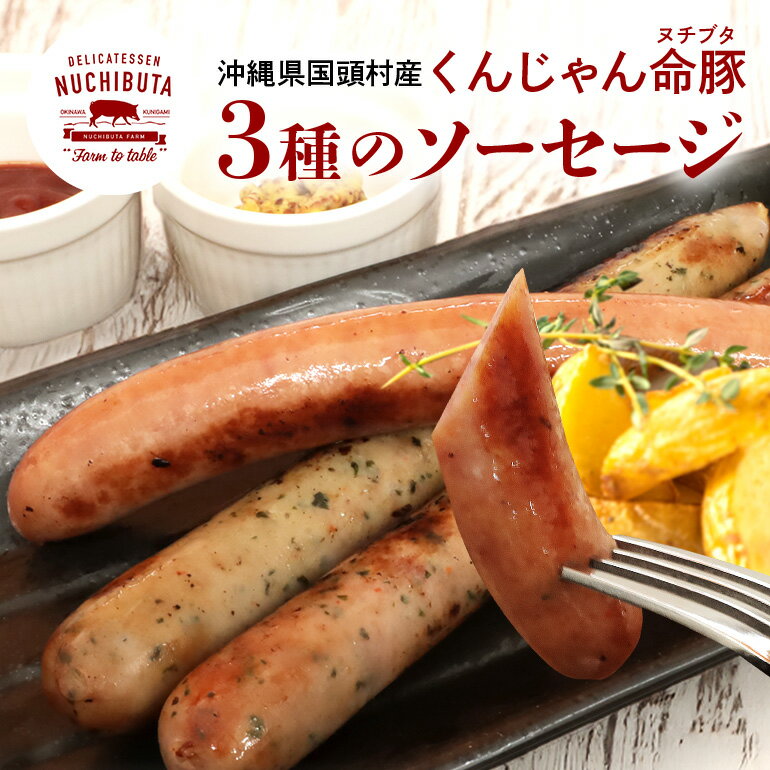 【ふるさと納税】 くんじゃん命豚 ソーセージ 3種セット（各150g×3本） ヌチブタ イノブタ 猪豚 詰め合わせ 豚 ポークソーセージ 猪 イノシシ ビールに合う プレゼント ギフトのサムネイル