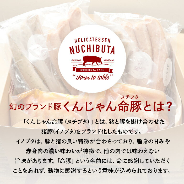 【ふるさと納税】 くんじゃん命豚の贅沢BOX （ソーセージ2種、自家製ボンレスハム、ワイルドポークステーキ、ベーコン） ヌチブタ イノブタ 猪豚 詰め合わせ 豚 豚肉 ポークソーセージ 猪 イノシシ ビールに合う プレゼント ギフト