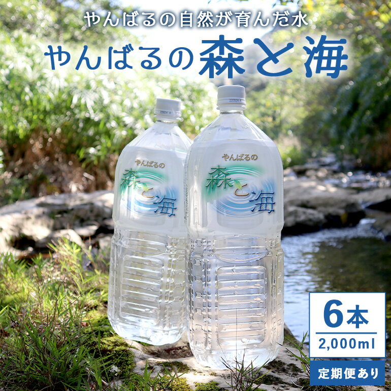 楽天沖縄県国頭村【ふるさと納税】 やんばるの水 森と海 2L 6本 2000ml 定期便 選べる 3ヶ月 6ヶ月 12ヶ月 ソフトドリンク 飲料水 ミネラルウォーター 防災 キャンプ アウトドア 送料無料 軟水