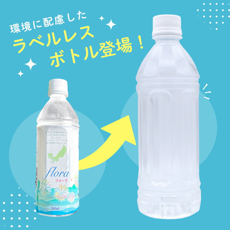 【ふるさと納税】 【3ヶ月定期便】 やんばるの水 フローラ 500ml 24本 ソフトドリンク 飲料水 ミネラルウォーター 防災 キャンプ アウトドア 送料無料 軟水 3回 3か月