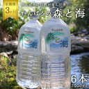 【ふるさと納税】 【3ヶ月定期便】 やんばるの水 森と海 2L 6本 2000ml ソフトドリンク 飲料水 ミネラルウォーター 防災 キャンプ アウトドア 送料無料 軟水 3回 3か月