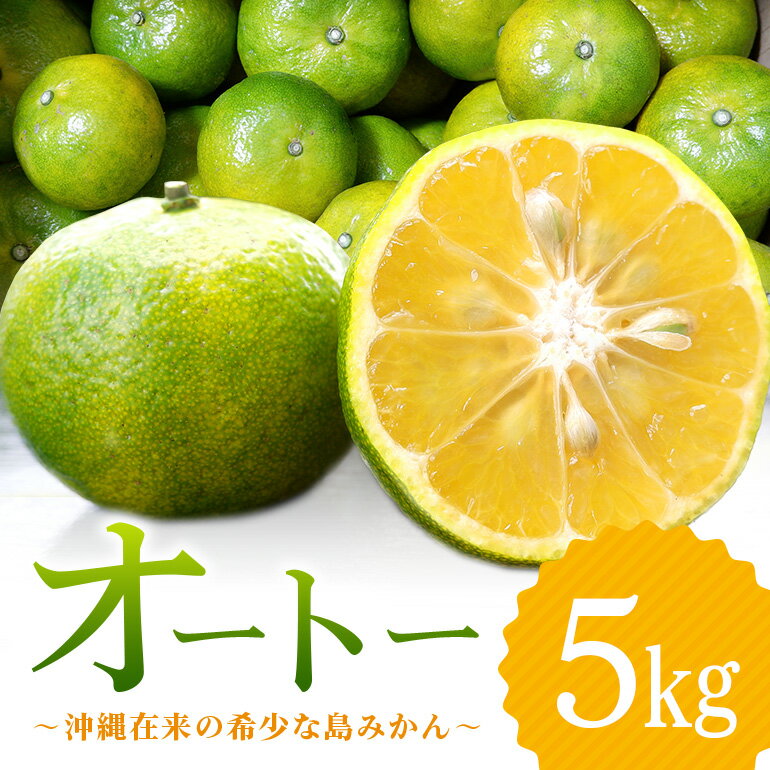 [12月発送]やんばる国頭村産 希少な島みかん「オートー」5kg 希少 ミカン 蜜柑 フルーツ 果物 柑橘 沖縄 国頭村