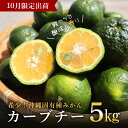 【ふるさと納税】【先行予約/10月発送】島みかん「カーブチ―」5kg