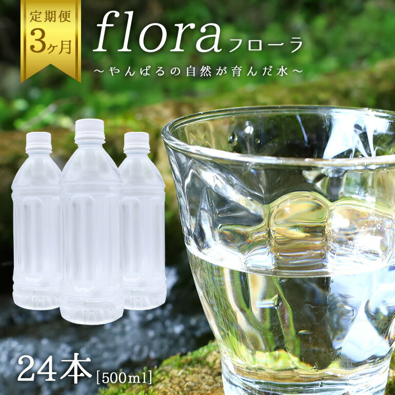 [3ヶ月定期便] やんばるの水 フローラ 500ml 24本 ソフトドリンク 飲料水 ミネラルウォーター 防災 キャンプ アウトドア 送料無料 軟水 3回 3か月