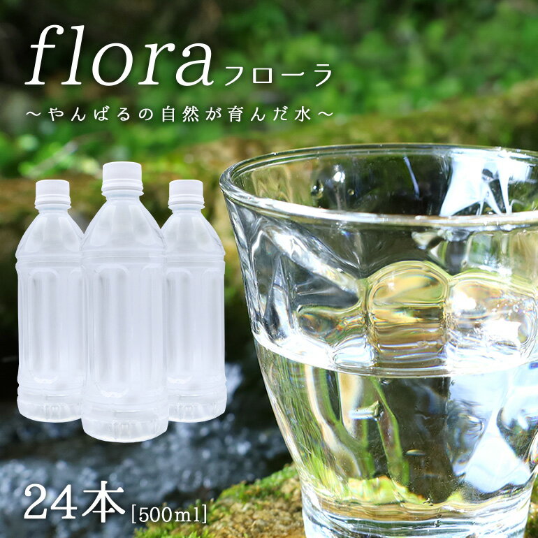 【ふるさと納税】 やんばるの水 フローラ 500ml 24本 ソフトドリンク 飲料水 ミネラルウォーター 防災 キャンプ アウトドア 送料無料 軟水