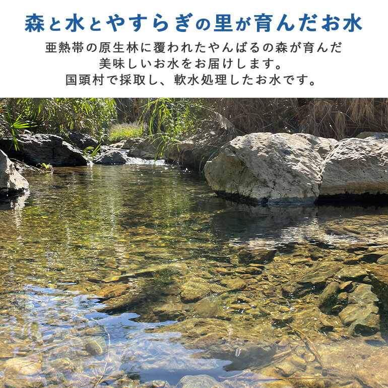 【ふるさと納税】 【3ヶ月定期便】 やんばるの水 森と海 2L 6本 2000ml ソフトドリンク 飲料水 ミネラルウォーター 防災 キャンプ アウトドア 送料無料 軟水 3回 3か月