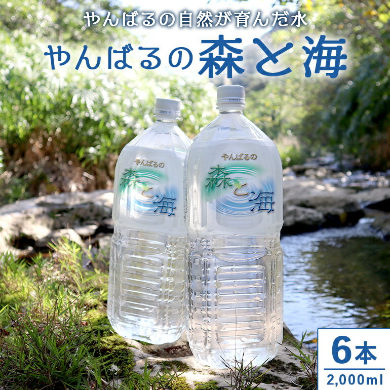 やんばるの水 森と海 2L 6本 2000ml ソフトドリンク 飲料水 ミネラルウォーター 防災 キャンプ アウトドア 送料無料 軟水