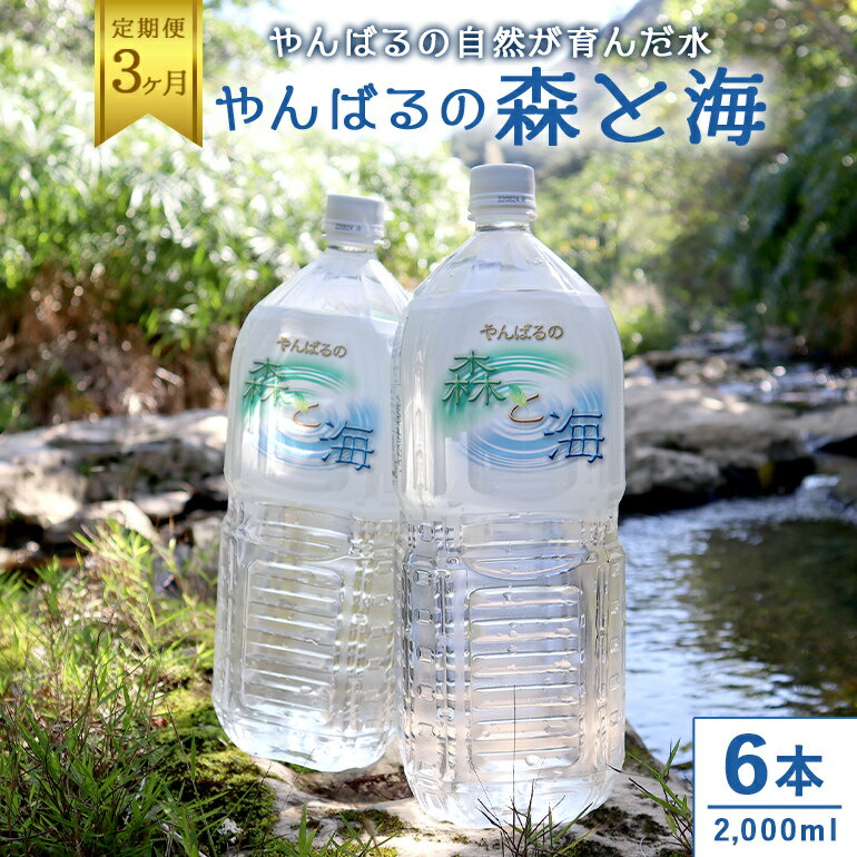 [3ヶ月定期便] やんばるの水 森と海 2L 6本 2000ml ソフトドリンク 飲料水 ミネラルウォーター 防災 キャンプ アウトドア 送料無料 軟水 3回 3か月