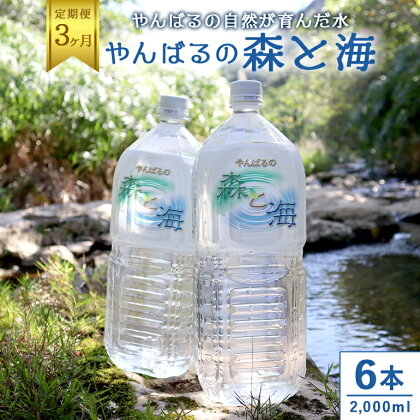 【3ヶ月定期便】 やんばるの水 森と海 2L 6本 2000ml ソフトドリンク 飲料水 ミネラルウォーター 防災 キャンプ アウトドア 送料無料 軟水 3回 3か月