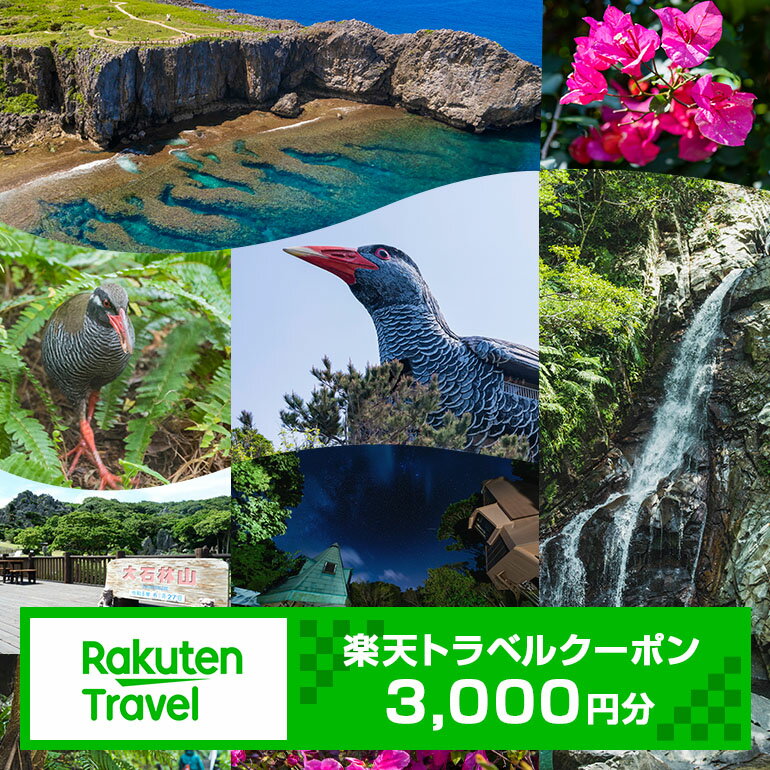 【ふるさと納税】沖縄県国頭村の対象施設で使える楽天トラベルクーポン 寄付額10,000円(クーポン額3,000円)