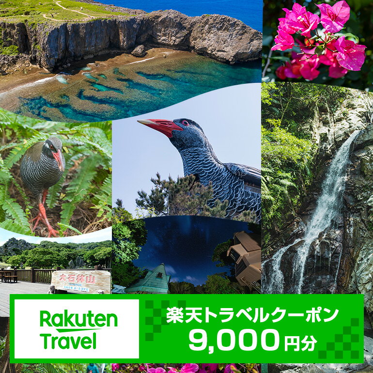 【ふるさと納税】沖縄県国頭村の対象施設で使える楽天トラベルクーポン 寄付額30,000円(クーポン額9,000円)