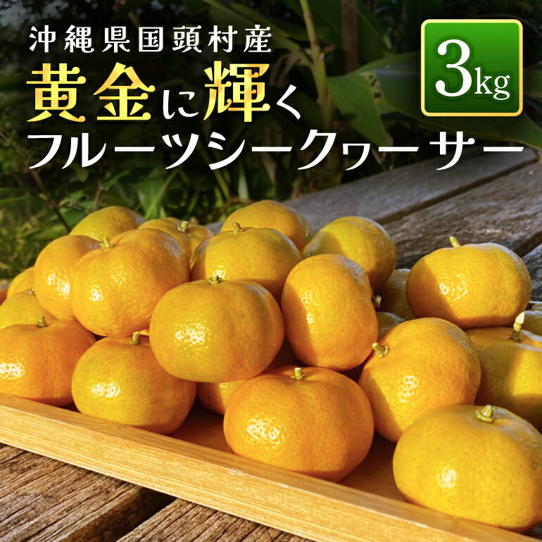 【ふるさと納税】【先行予約/12月発送】黄金に輝くフルーツシークヮーサー（3kg） 沖縄県産 国頭村 シ...