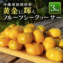 【ふるさと納税】【先行予約/12月発送】黄金に輝くフルーツシークヮーサー（3kg） 沖縄県産 国頭村 シークヮーサー シークワーサー 希少 数量限定 果物類 柑橘類 フルーツ 黄金