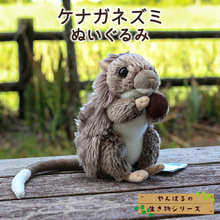 【ふるさと納税】 ぬいぐるみ ケナガネズミ ～やんばるの生き物シリーズ～ マスコット キーホルダー ストラップ ねずみ 鼠 動物 バッグ かわいい ほわほわ