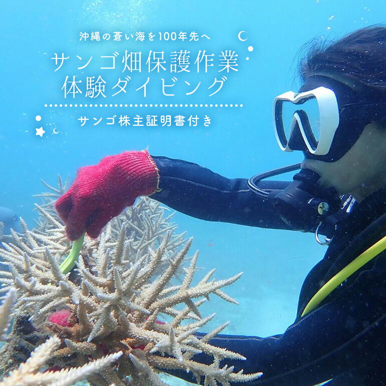 ダイビング体験チケット (ライセンス保持者限定) サンゴ養殖プロジェクト 保護作業ダイビング 珊瑚 体験 旅行 観光 沖縄 スキューバダイビング マリンレジャー 海