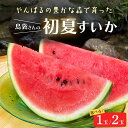 【ふるさと納税】先行予約島袋さんの初夏スイカ 選べる1玉~2玉(1玉5~7kg)【2026年6月上旬から順次発送】【配送不可地域:離島】【G1577669】