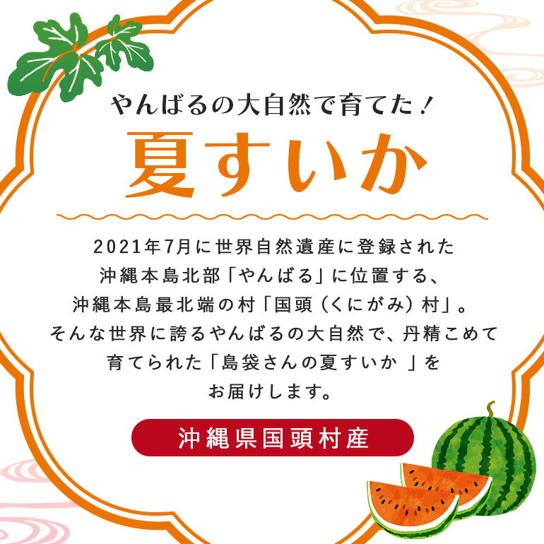 【ふるさと納税】島袋さんの夏スイカ 選べる　1玉 （5～7Kg×1玉） 2玉 （5～7Kg×2玉） スイカ すいか 沖縄 西瓜 8月 甘い 糖度 大玉 【2024年8月発送】