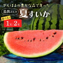 28位! 口コミ数「1件」評価「5」島袋さんの夏スイカ 選べる　1玉 （5～7Kg×1玉） 2玉 （5～7Kg×2玉） スイカ すいか 沖縄 西瓜 8月 甘い 糖度 大玉 【2･･･ 