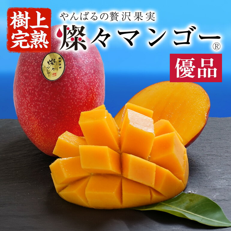 【ふるさと納税】 先行予約 【樹上完熟】 燦々 マンゴー 優品 選べる 1.0kg（2～3玉） 1.5kg（3～6玉...