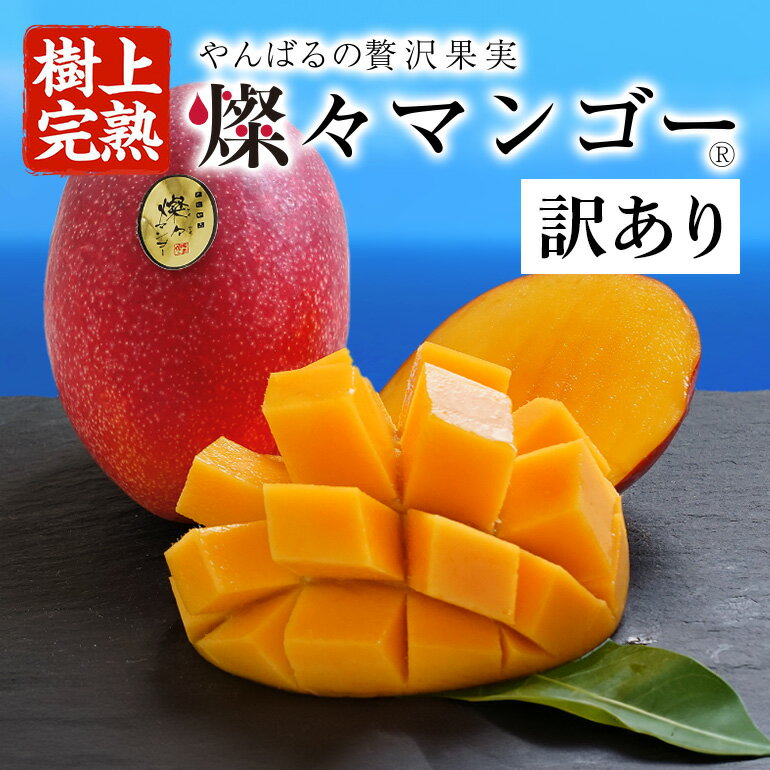 【ふるさと納税】 先行予約 【樹上完熟】 燦々 マンゴー 訳あり 選べる 1.5kg 3～6玉 2.4kg 4～6玉 国産 農家直送 沖縄 沖縄県産 冷蔵 フルーツ 果物 くだもの 訳アリ 訳あり品 【2024年6月末…