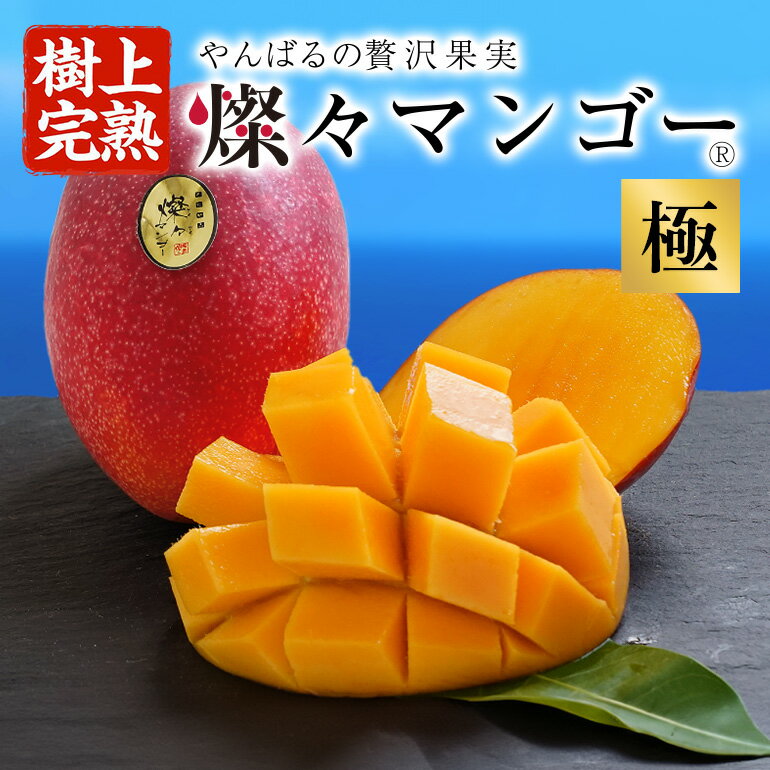 【ふるさと納税】 先行予約 【樹上完熟】 燦々マンゴー 最高級『極（きわみ）』 選べる 2玉（約900g） 4玉（約1.8kg） 国産 農家直送 沖縄 沖縄県産 冷蔵 フルーツ 果物 くだもの 贈答 ギフト 【2024年6月末以降発送予定】のサムネイル